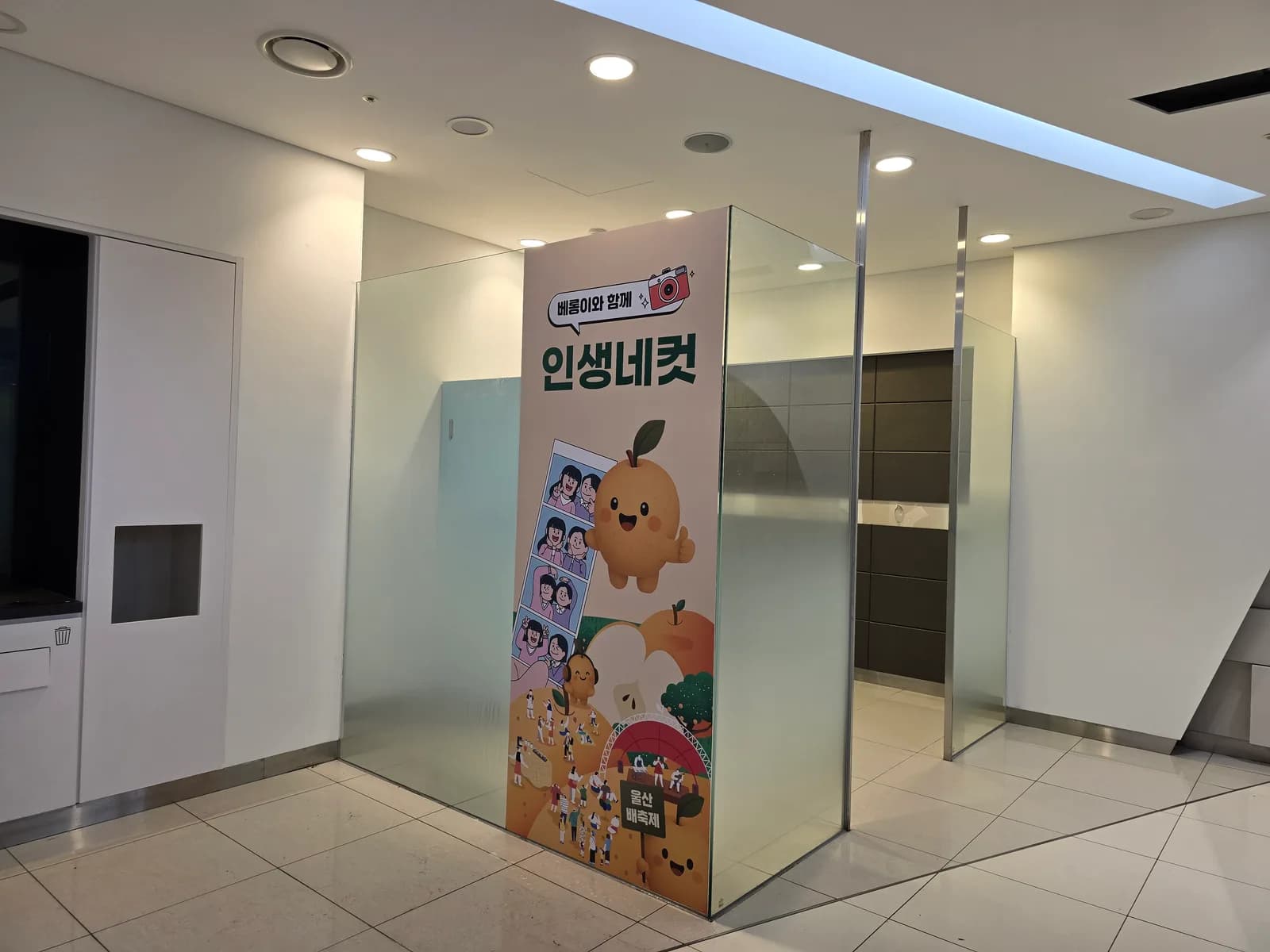 울산배축제