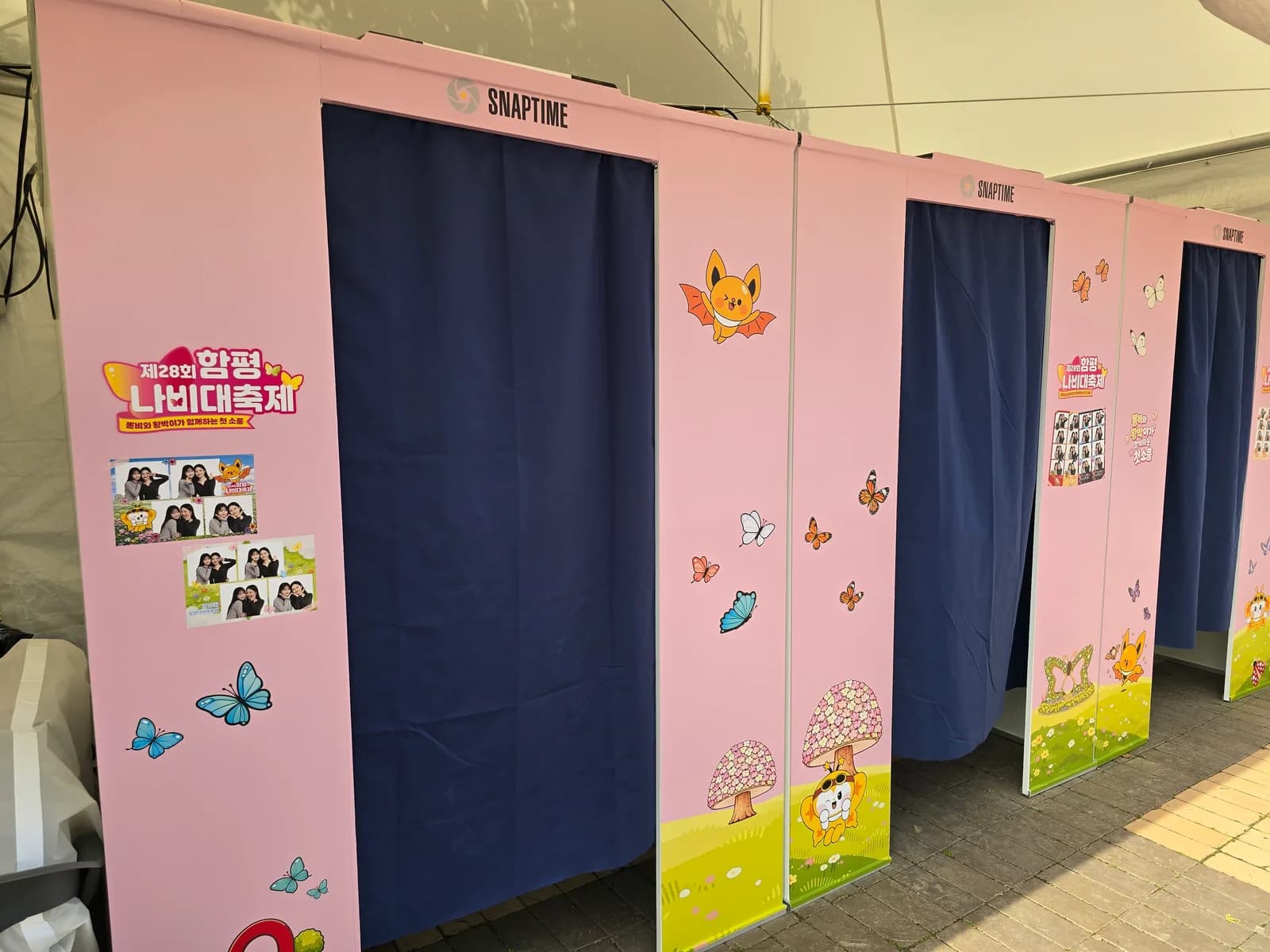 함평나비축제